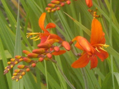 IMGP0493_Bildgröße ändern.JPG