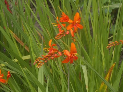 IMGP0492_Bildgröße ändern.JPG