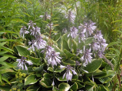 IMGP0490_Bildgröße ändern.JPG