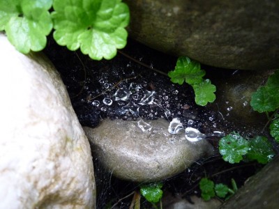 Wassertropfen.JPG
