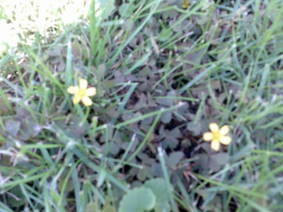 Bild004.jpg