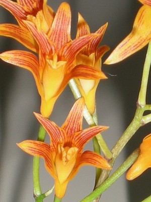 RSCN50780001.JPG