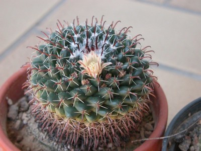 DSCN8742k.JPG