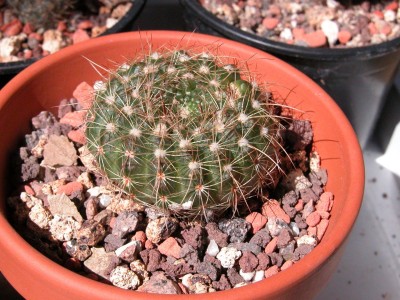 DSCN8743k.JPG