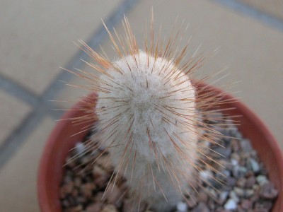 DSCN8748k.JPG