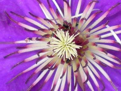 RSCN51040001.JPG
