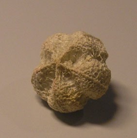 dekosamen3.jpg