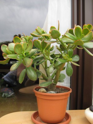 Bild 041_600x800.jpg