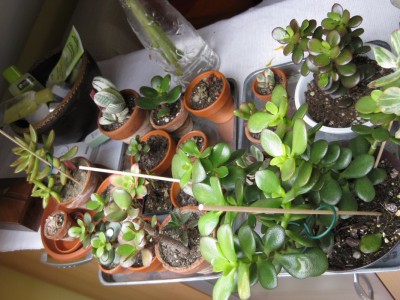 Bild 035_1067x800.jpg