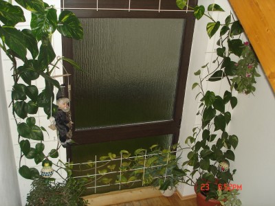 green24 002.jpg