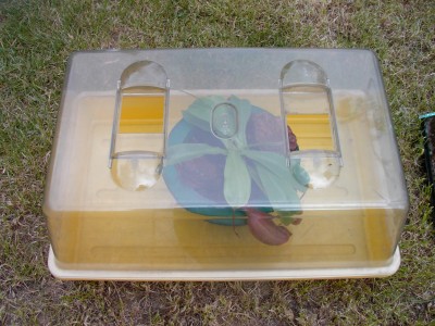 IMAG0013.JPG