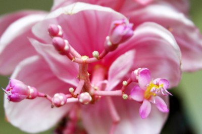 DSC_4801a.jpg