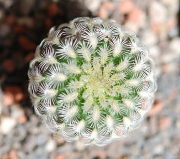 sieht das nicht schöner aus.jpg