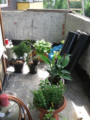 Balkon8.jpg