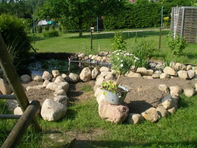 teich 002.JPG