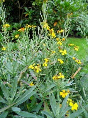 2009-07-25 051.jpg
