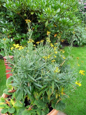 2009-07-25 049.jpg