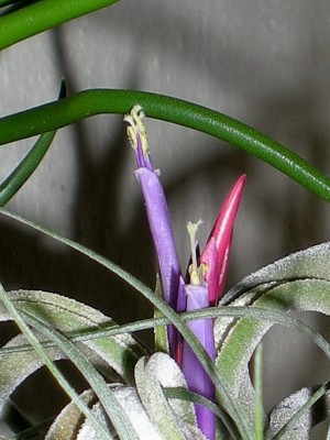 RSCN51400001.JPG
