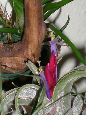 RSCN51380001.JPG
