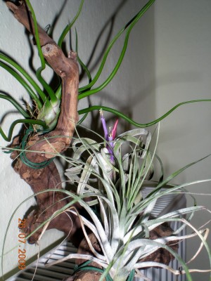 DSCN51390001.JPG