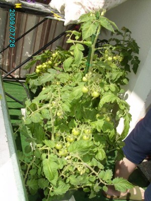PICT0552.JPG