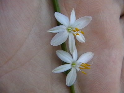 IMGA0086.JPG
