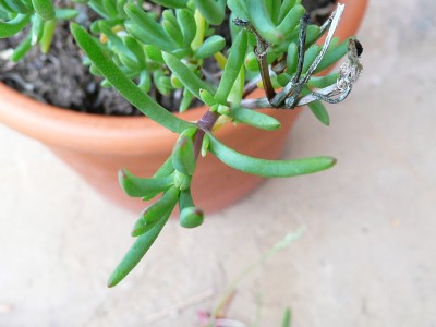 2009-07-26 011.jpg