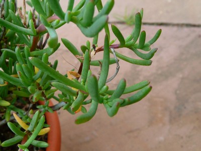 2009-07-26 006.jpg