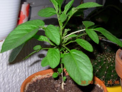 DSCN0022.JPG