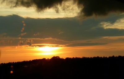 2009-05-31 289klein.jpg