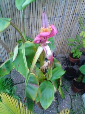 DSC00496.JPG