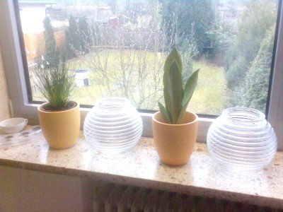 fenstebank vorher.jpg