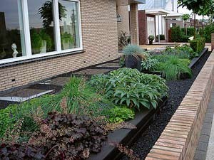 Graeser-fuer-den-Garten.jpg