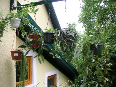 PICT0113.JPG
