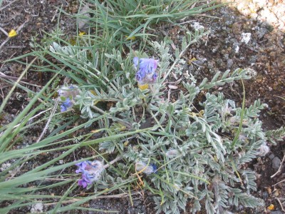 IMG_0187.JPG