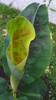 moto_0247.jpg