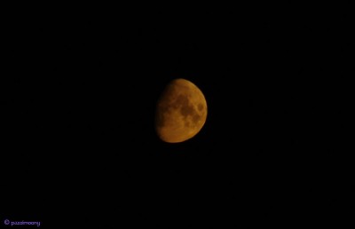 Moon_310709.jpg