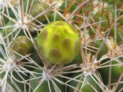 IMG_7766.JPG