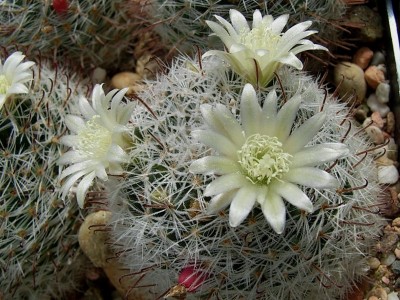 RIMG0045.JPG