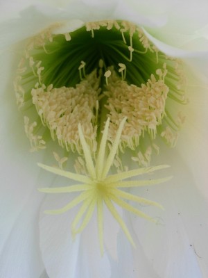 Kopie von RIMG0140.JPG