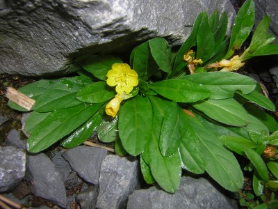 DSCN3683.JPG