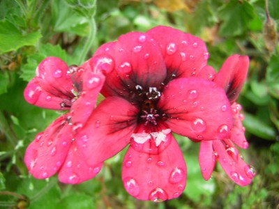 DSCN3673.JPG