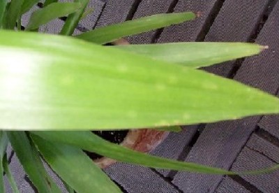 S7300441.JPG