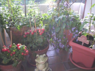 PICT0025.JPG