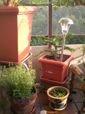 PICT0020.JPG