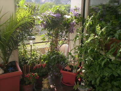 PICT0014.JPG