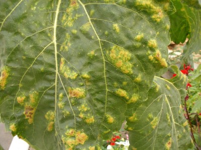 SANY0112.JPG