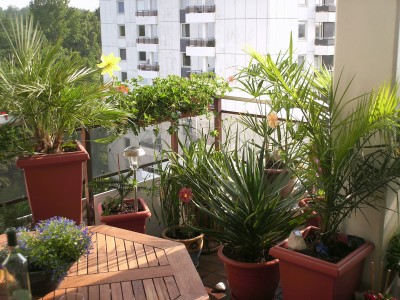 PICT0013.JPG