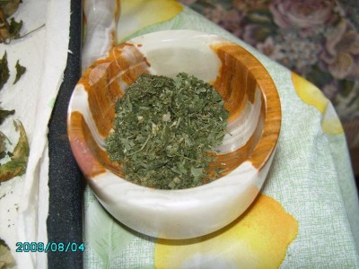 PICT0567.JPG