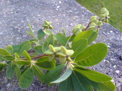 DSC00671.JPG